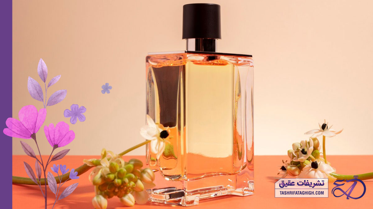 10 بهترین عطر فروشی در تهران